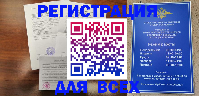 прописка поиск в Ногинске